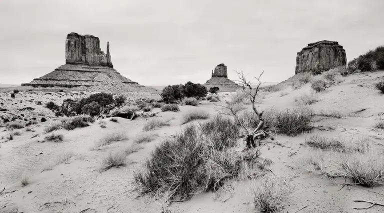 Schwarzweiß-Fotografie des Monument Valley mit kargem Wüsten-Vordergrund aus Sand und Gestrüpp; im Hintergrund ragen die markanten Sandsteintafeln des West Mitten, East Mitten und Merrick Butte empor.