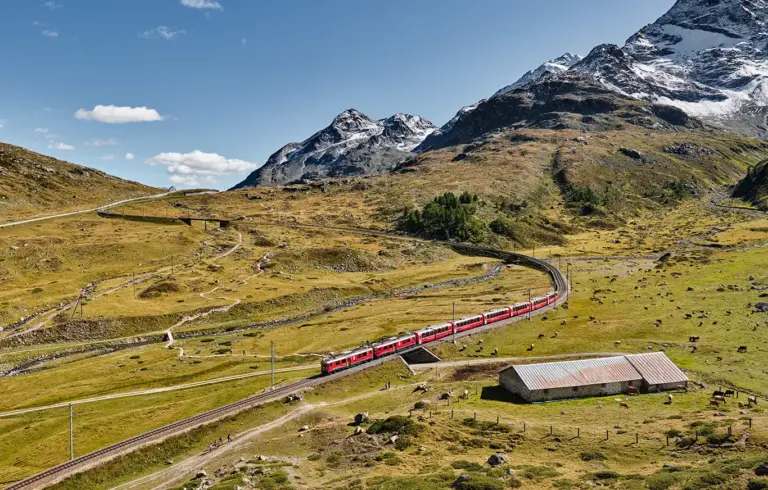 Bernina Express fährt talwärts auf der Berninabahnstrecke an der Schleife bei Alp da Buond Sur, weiches Septemberlicht, gelbes Gras