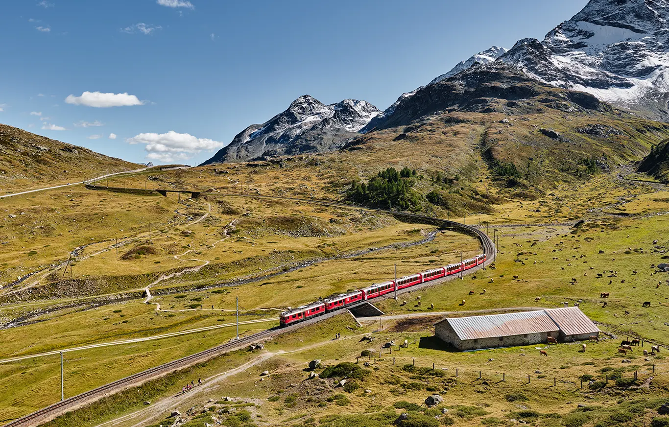 Bernina Express fährt talwärts auf der Berninabahnstrecke an der Schleife bei Alp da Buond Sur, weiches Septemberlicht, gelbes Gras