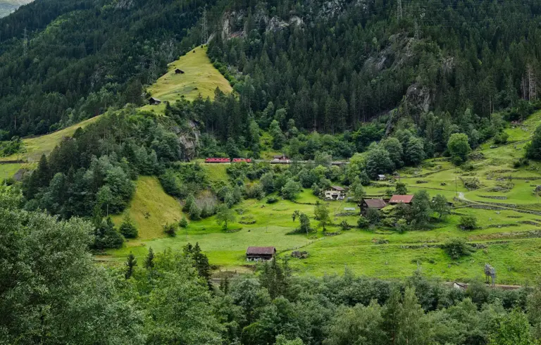 Güterzug auf der Nordrampe der Gotthardbahn bei der Ausfahrt aus dem Pfaffensprung-Kehrtunnel