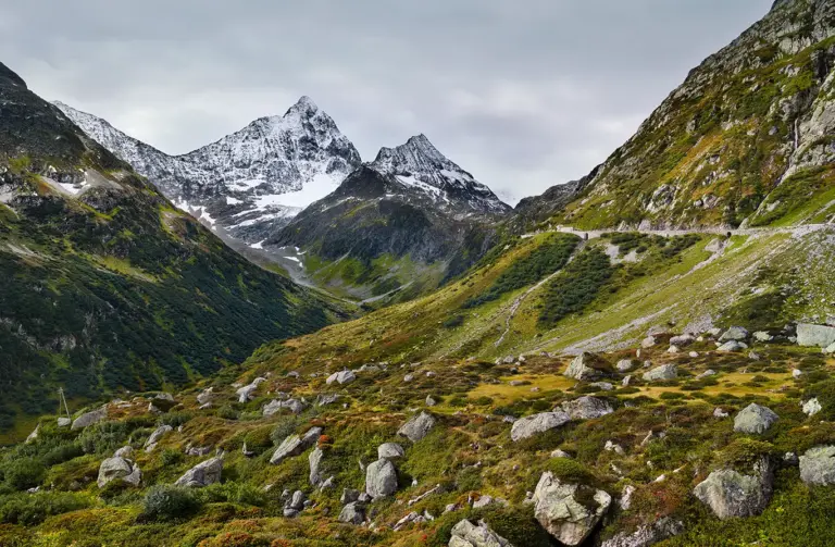 Straße der Ostrampe des Sustenpass führt durch eine Landschaft aus Geröll und Bergwiesen unterhalb von Sustenspitz und Sustenhorn